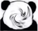 5651613