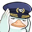 drifty05NotLikeDuck