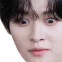 minhofakeeyesopen