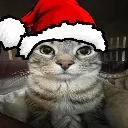 natal