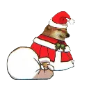 natal