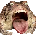 froog
