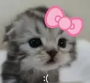 Cutie_sad_billi