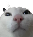 grumpinald