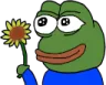 flowerpepe