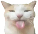 bleh