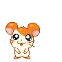 HamtaroDead HamtaroDead