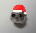 Christmasbbg