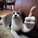 carthumb