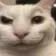 smirkcat