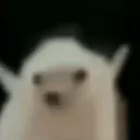 AndroPog_dance
