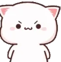 PeachCatAngry