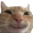 hehe
