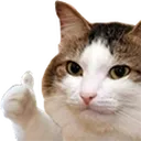 ThumbsUpCat