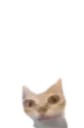 er