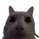 WheatleyStare