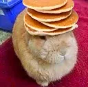 dommultiplepancakes