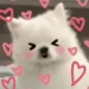 dog_love