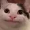 CatStareWELP