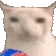 monch