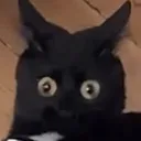 DEMONTIME
