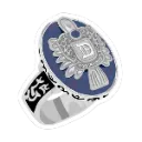 download1_processed_resized