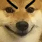 homey_badmas
