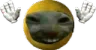 XDD_CAUGHT