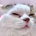 Tasha_Creature_Expression