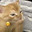 Teehee