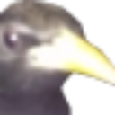 yoobird Discord emoji