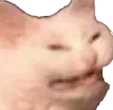 weirdcat