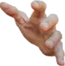 z_mao2
