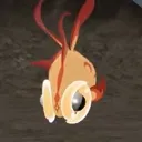 FishStare