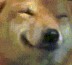 dog_smile