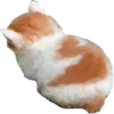 Angy