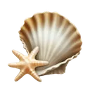 i_seashellsdtiribbons