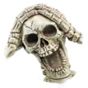 skull