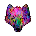 pack_fourier_noise