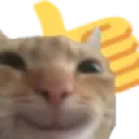 catok