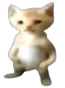 cat_ToughGuy