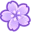 nc_FlowerPurple
