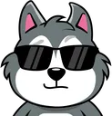 KoiraSunglasses
