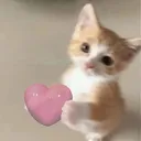 cat_love