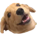 dog_with_inquisitive_tilted_head