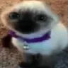 lalalalalalala