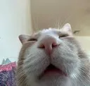 398838930fbd5c6d8fa384d0c86c3e74