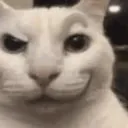 CATrizzy