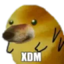 xdm