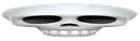 wide_skull